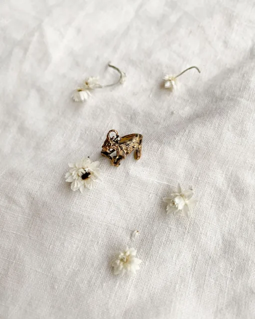 Capricorn Ring