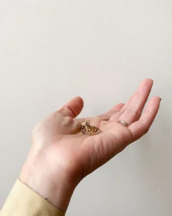 Capricorn Ring