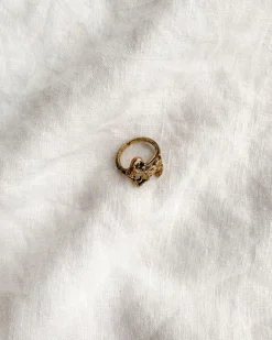 Capricorn Ring