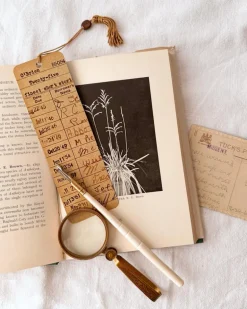 Ox Bone Calligraphy Pen